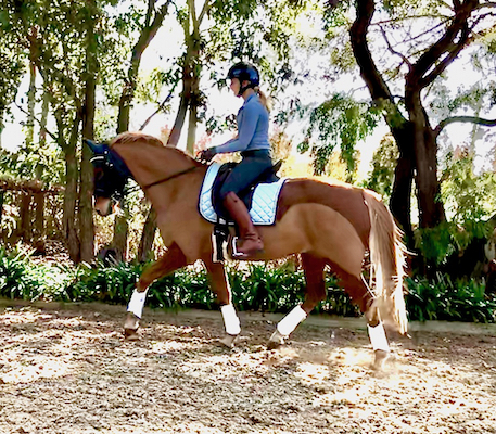 Kristy Kelly
							 rides in Erica's Australia clinic